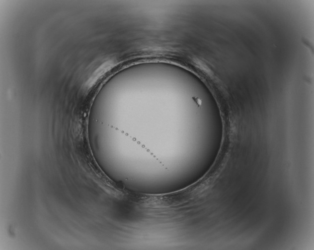 X0000103451259200809191739