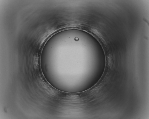 X0000103451260200809191739