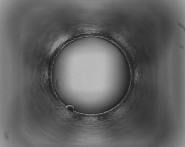 X0000103451261200809191739