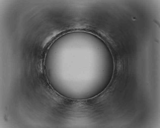 X0000103451262200809191739