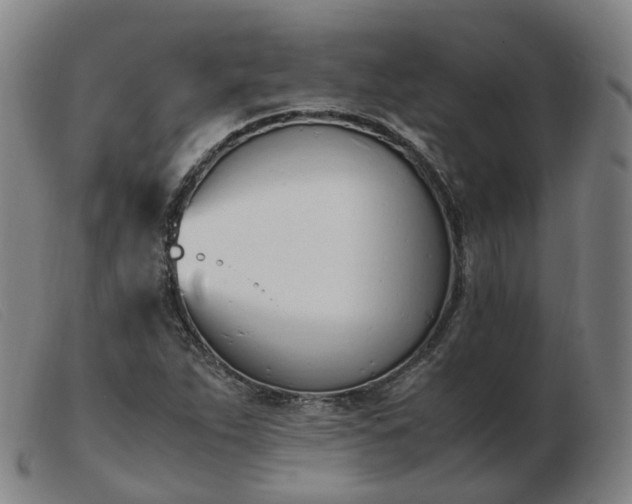 X0000103451263200809191739