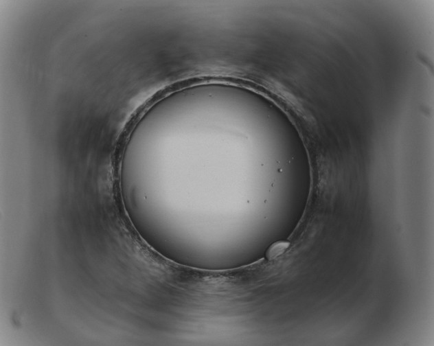 X0000103451264200809191739