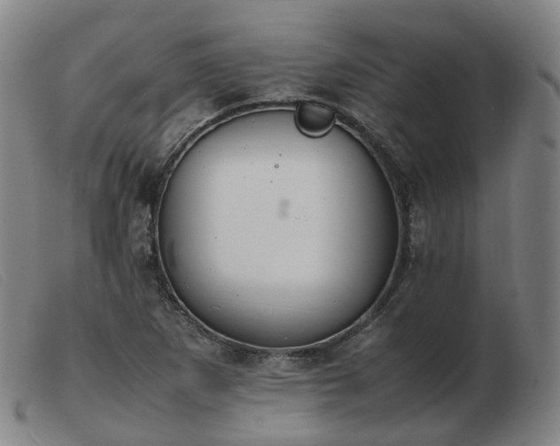 X0000103451265200809191739