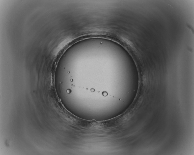 X0000103451267200809191739