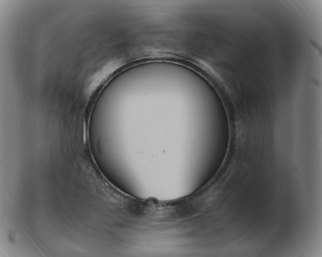 X0000103451269200809191739