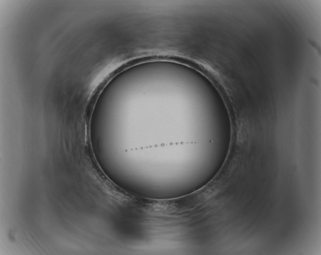 X0000103451271200809191739