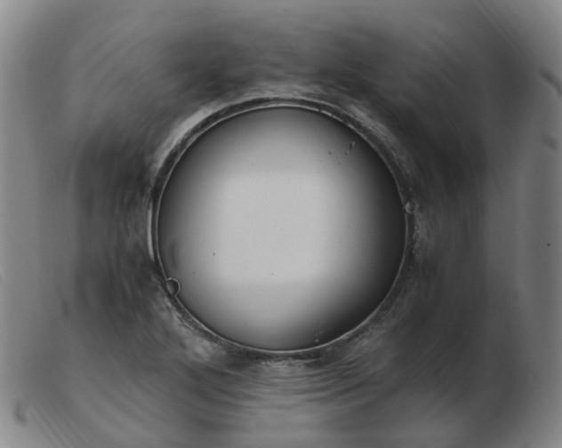 X0000103451272200809191739