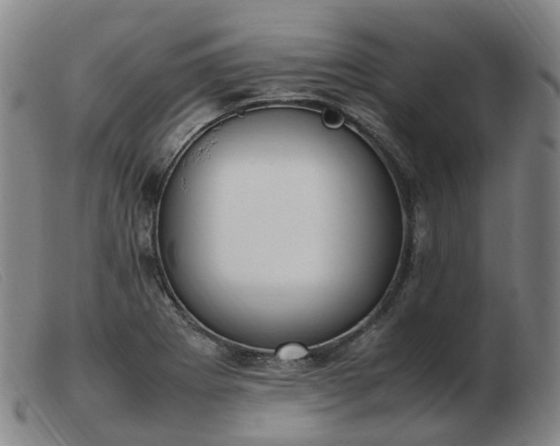 X0000103451273200809191739
