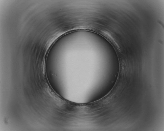 X0000103451276200809191739