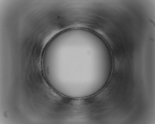 X0000103451278200809191739