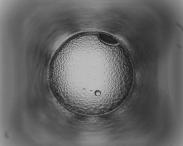 X0000103451279200809191739