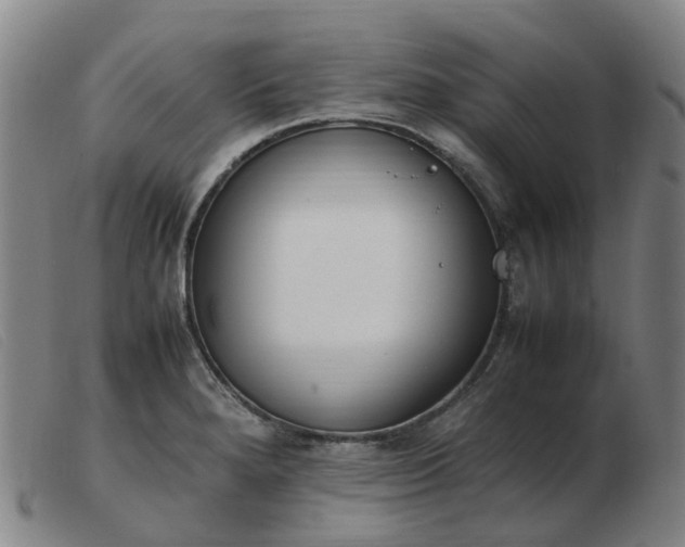 X0000103451280200809191739