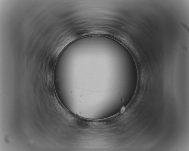 X0000103451281200809191739