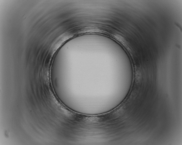 X0000103451282200809191739