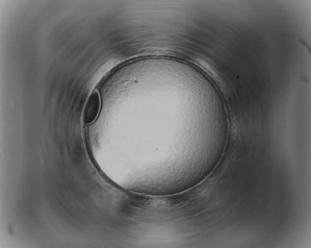 X0000103451283200809191739