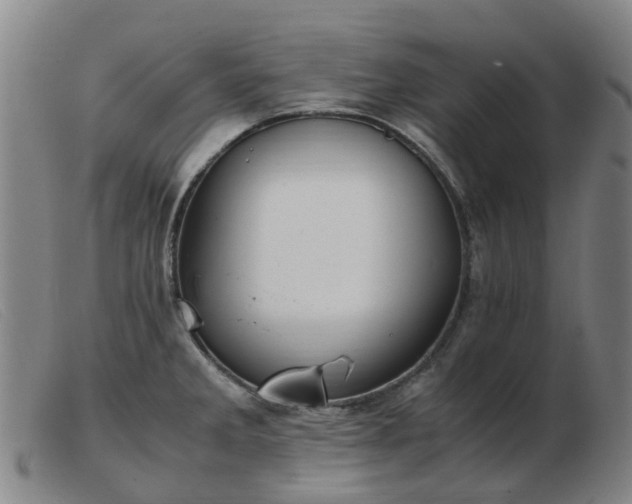 X0000103451285200809191739