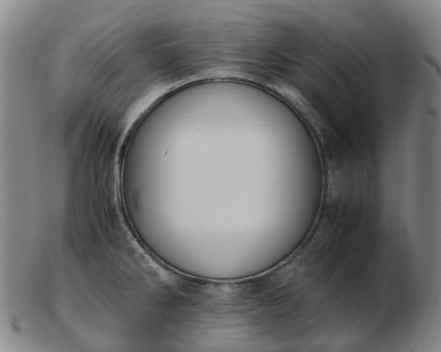 X0000103451286200809191739