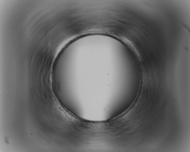 X0000103451288200809191739