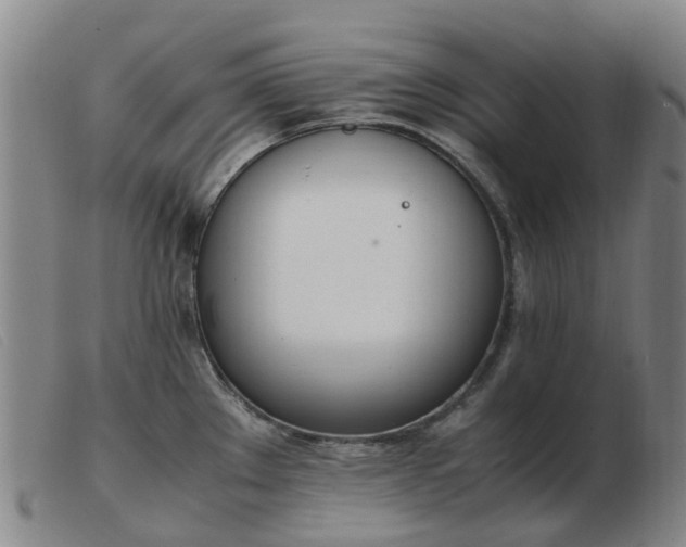 X0000103451289200809191739