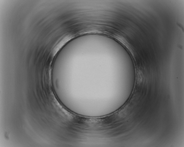 X0000103451290200809191739