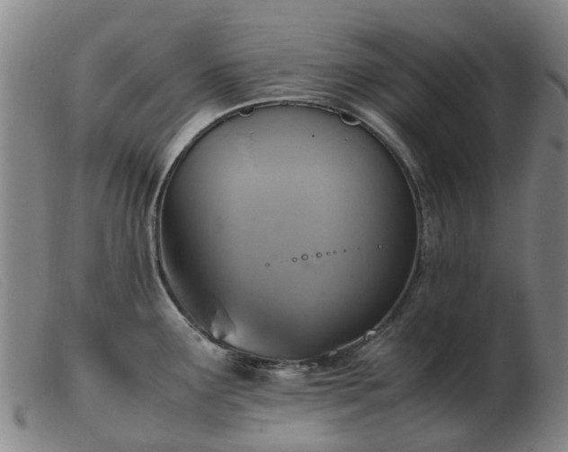 X0000103451291200809191739