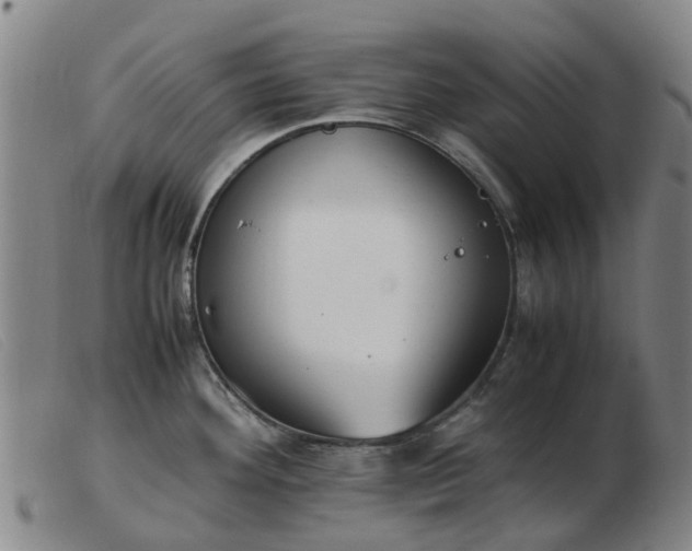 X0000103451292200809191739