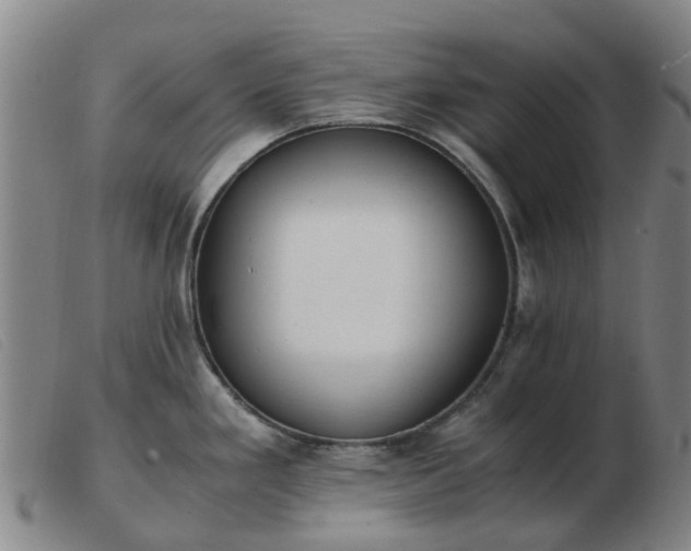 X0000103451293200809191739