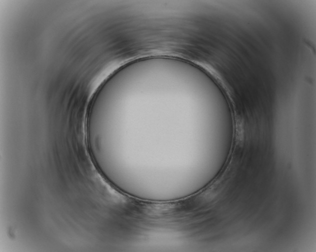 X0000103451294200809191739