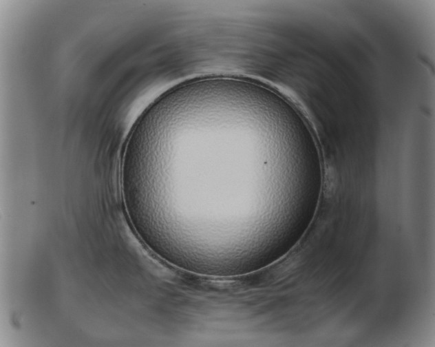 X0000103451295200809191739