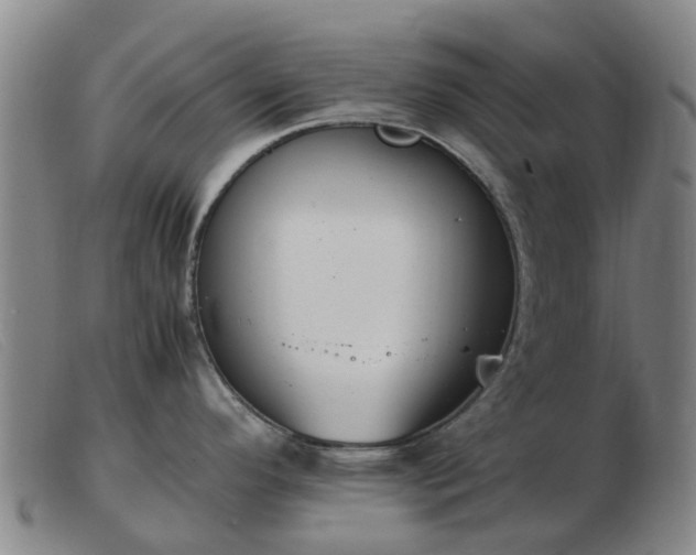 X0000103451296200809191739