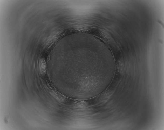X0000103451298200809191738