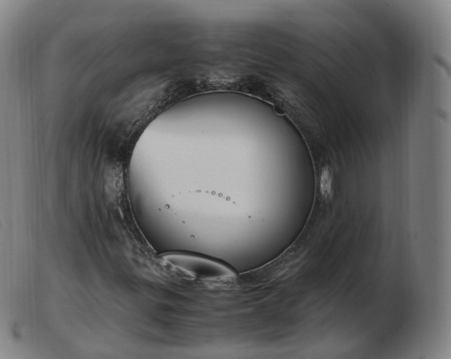 X0000103451299200809191738