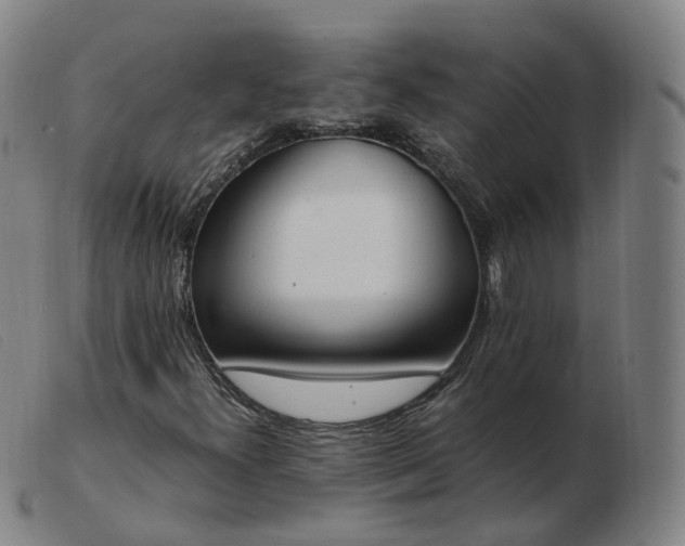 X0000103451300200809191738