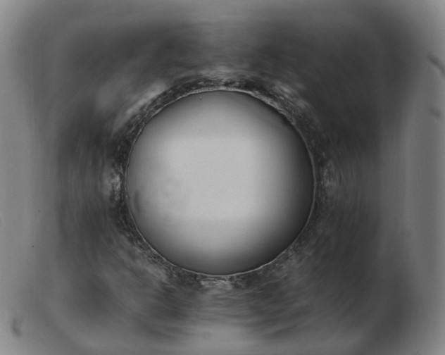 X0000103451302200809191738