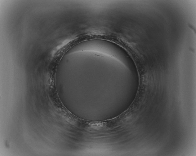 X0000103451303200809191738