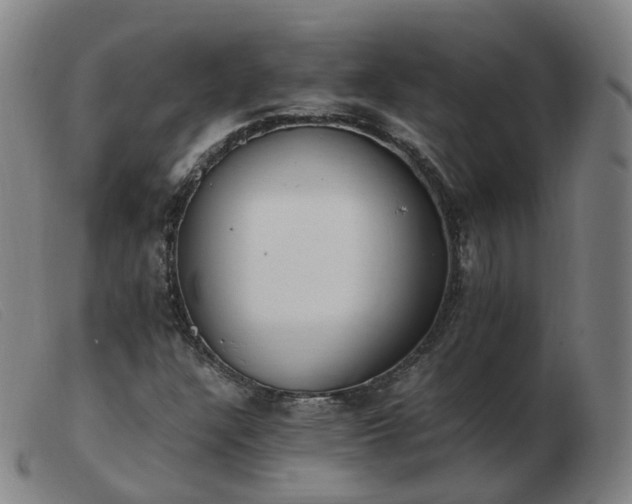 X0000103451304200809191738