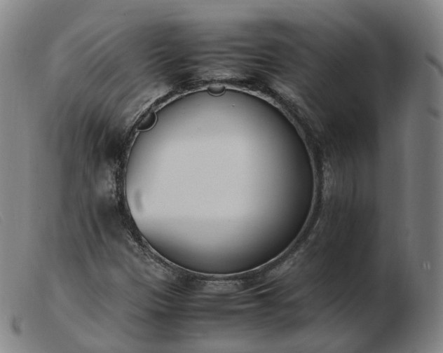 X0000103451305200809191738