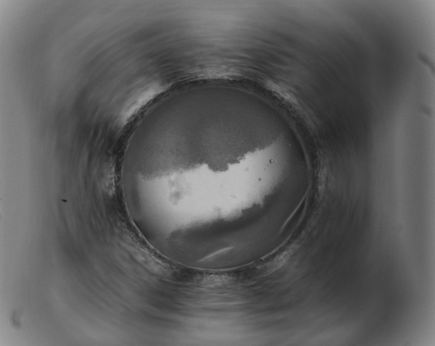X0000103451306200809191738