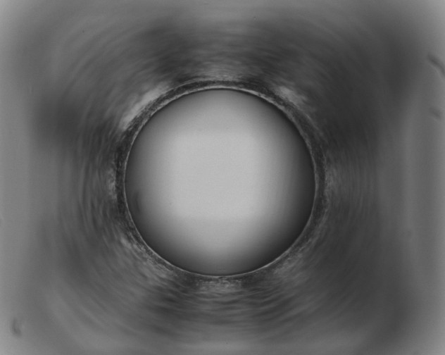 X0000103451307200809191738