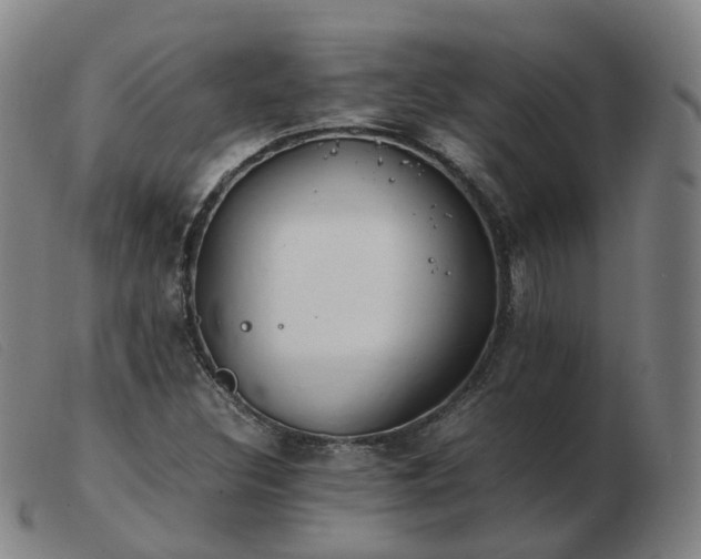 X0000103451308200809191738
