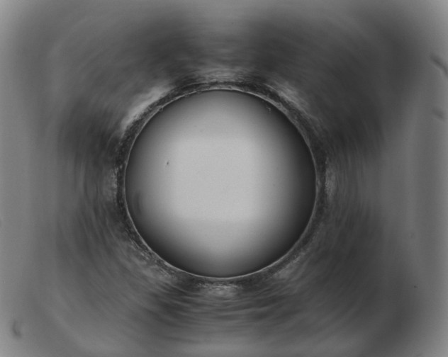 X0000103451309200809191738