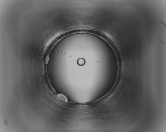 X0000103451310200809191738