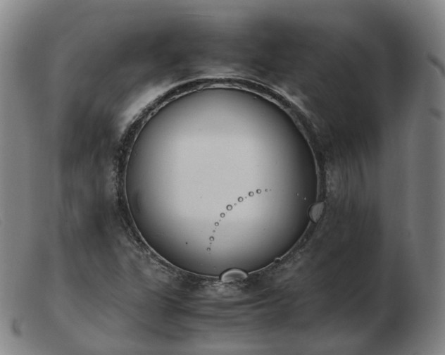 X0000103451311200809191738