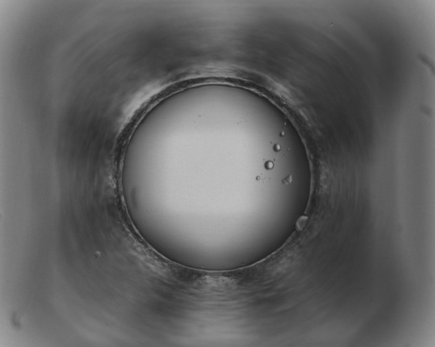 X0000103451312200809191738