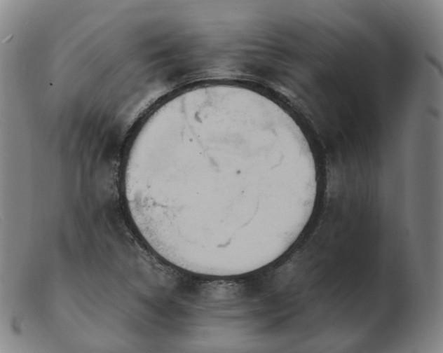 X0000103451314200809191738