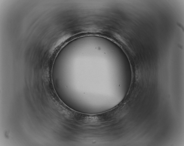 X0000103451315200809191738