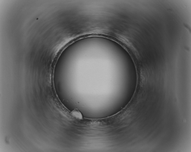 X0000103451316200809191738