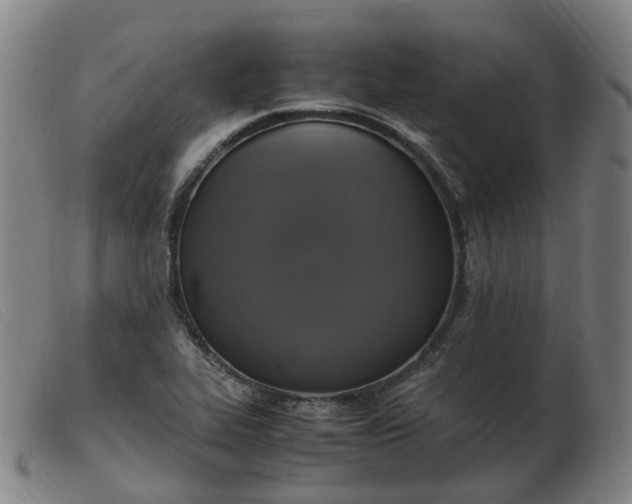 X0000103451319200809191738