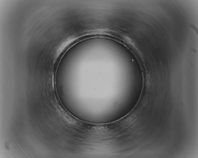 X0000103451320200809191738