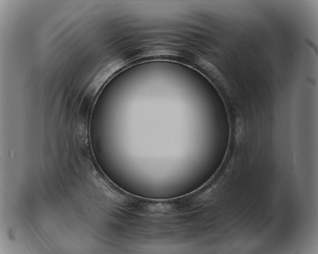X0000103451321200809191738